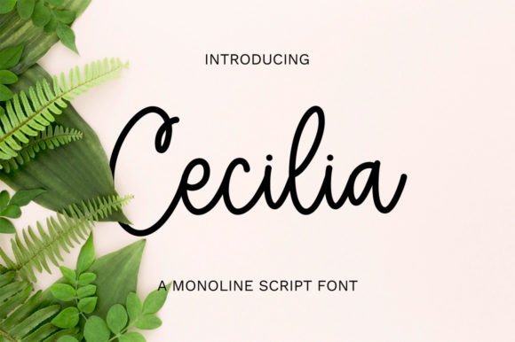 Cecilia: A Script Font for Marketing Elegance