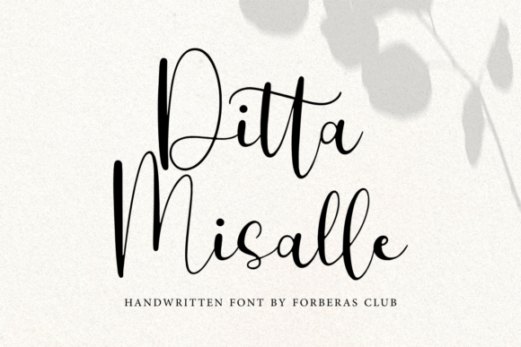 Reviewing the Ditta Misalle Font in Real Campaign Design