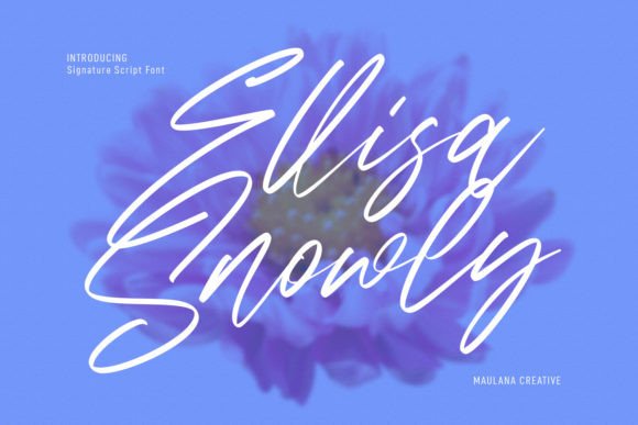 The Creative Magic of the Ellisa Snowly Script Font