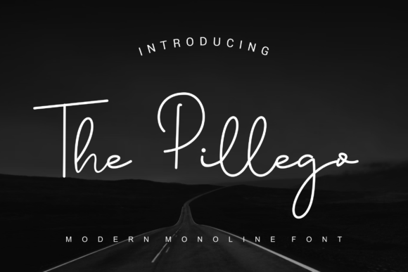 The Pillego Font: A Designer’s Review for Authentic Branding